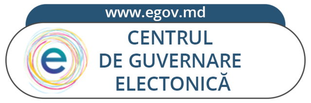 Electronic Gov